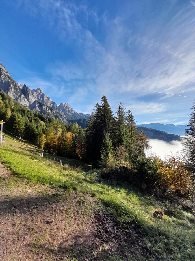 Seiwald Leogang
